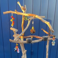 Macaw Cockatoo Perch Tree - Custom And Unique! Thick And Curvy - Breeder Direct !  