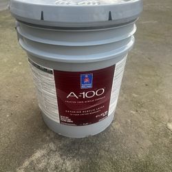 Sherwin Williams 18.3 L Exterior White Paint