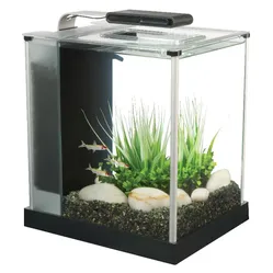 Two Fluval Spec 2.6 Gallon Aquariums