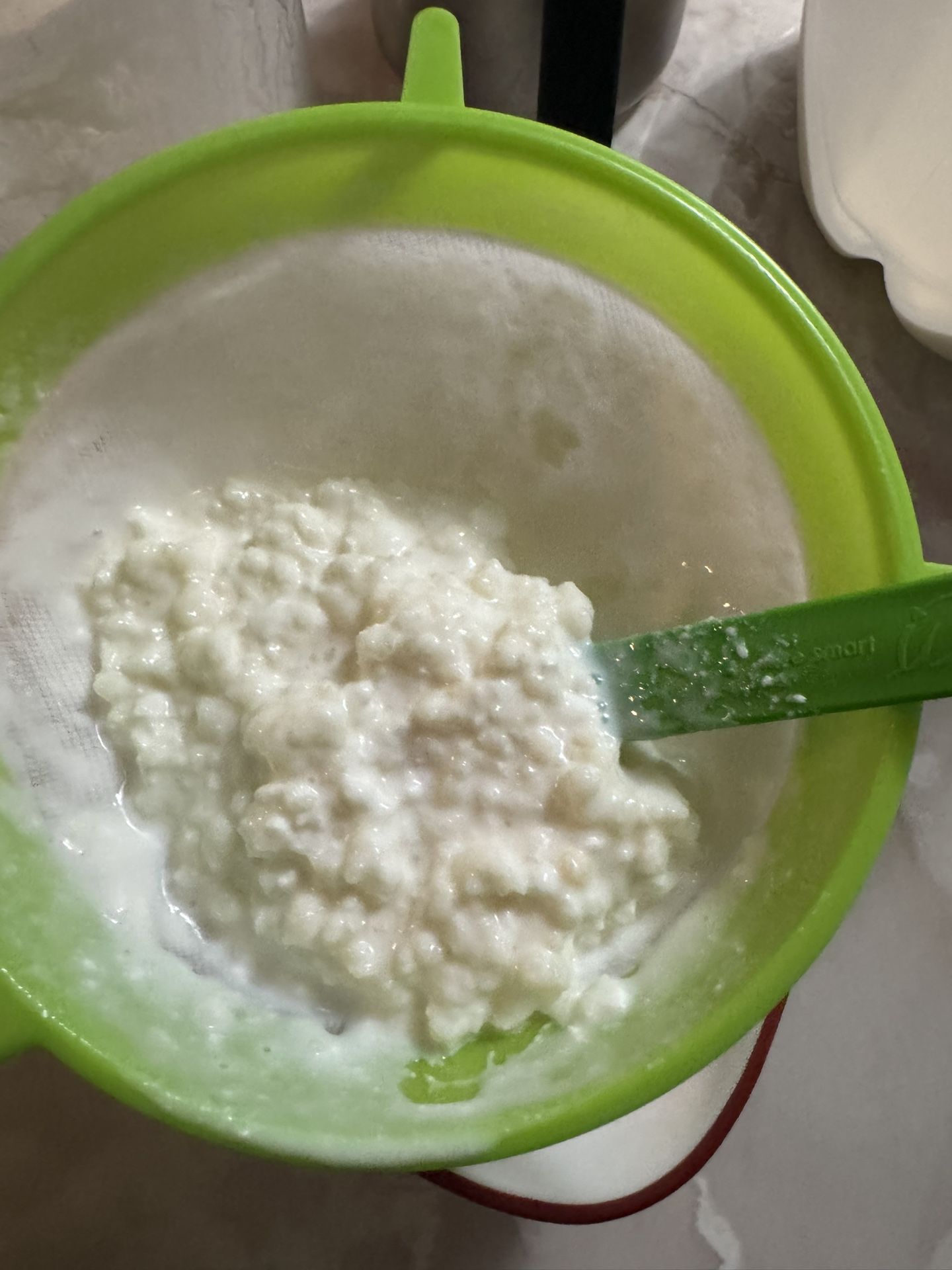 Búlgaros/Kefir Yogurt