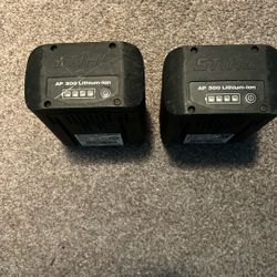 Stihl AP 300 Lithium Batteries 