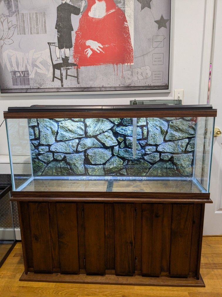 55 Gallon Fish Tank Set