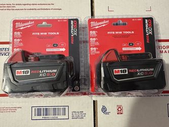 Milwaukee 48-11-1850 2 Batteries  XC5.0