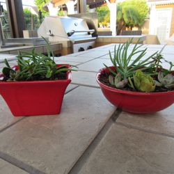 Set Of Red Garden Pots With Succulents 