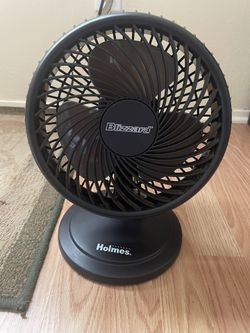 Holmes Blizzard Fan