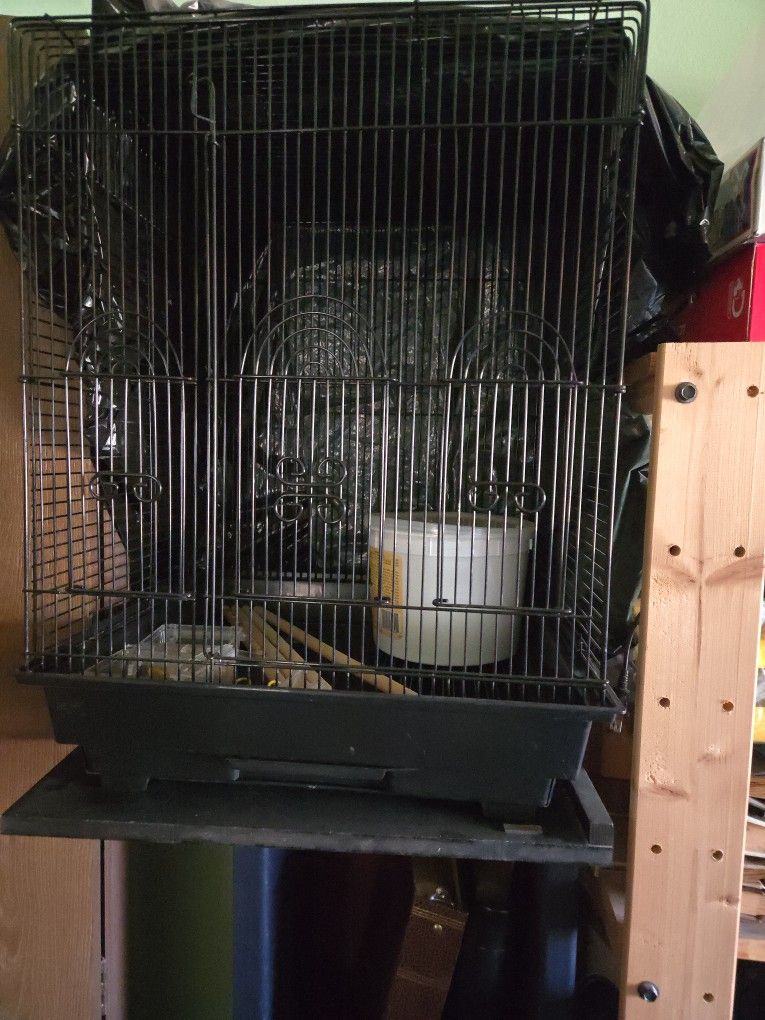 Bird Cage