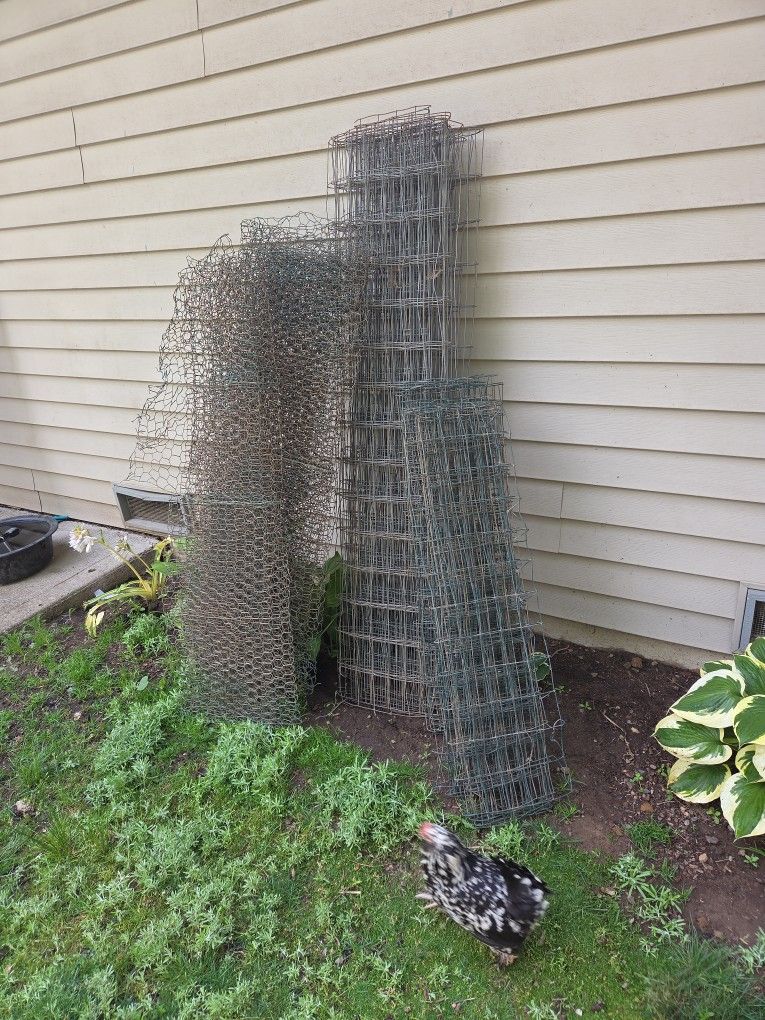 Free Chicken Wire