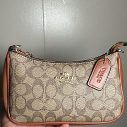 Light Brown Coach Bag New 
