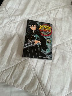 Demon slayer volume 12