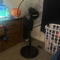 Fan