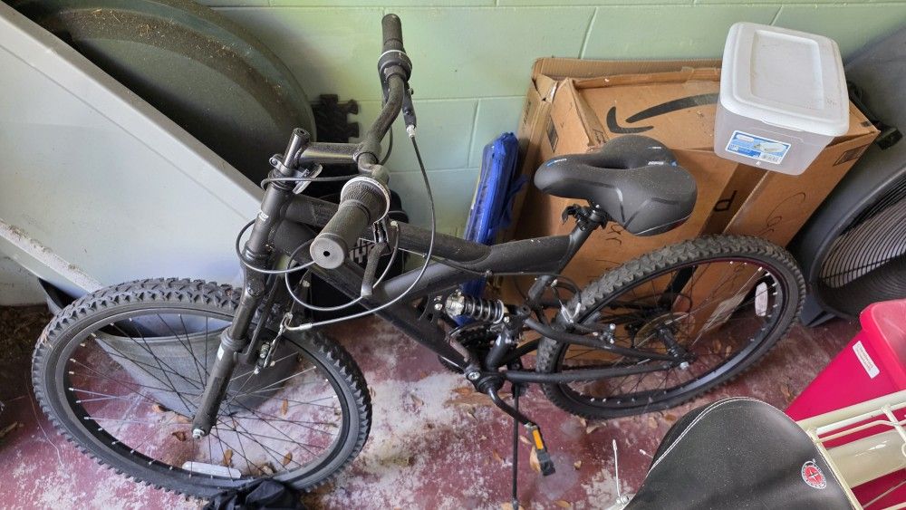 Free Teen Bike (Flat Tires)