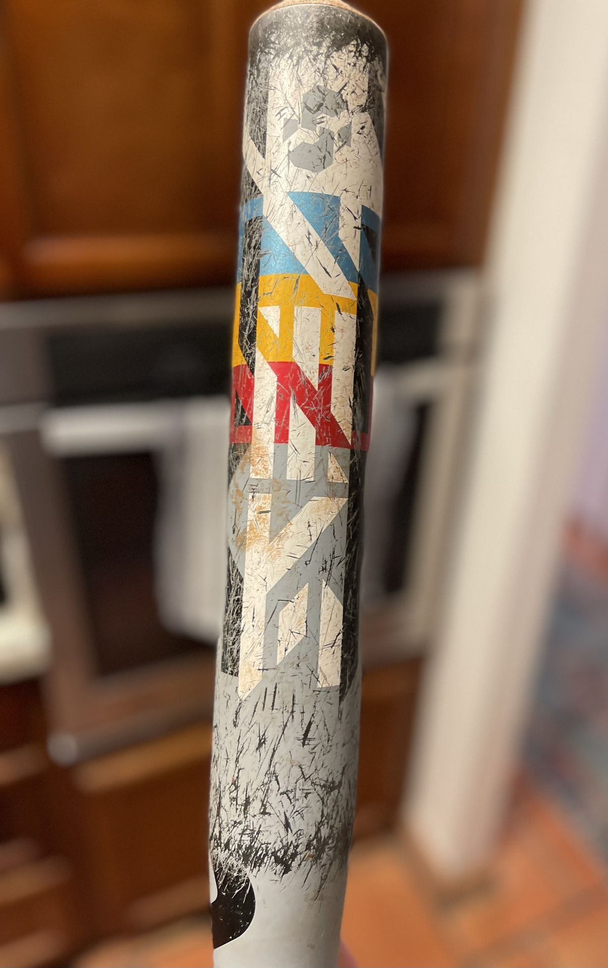 DeMarini Raw Steel Slowpitch Softball Bat