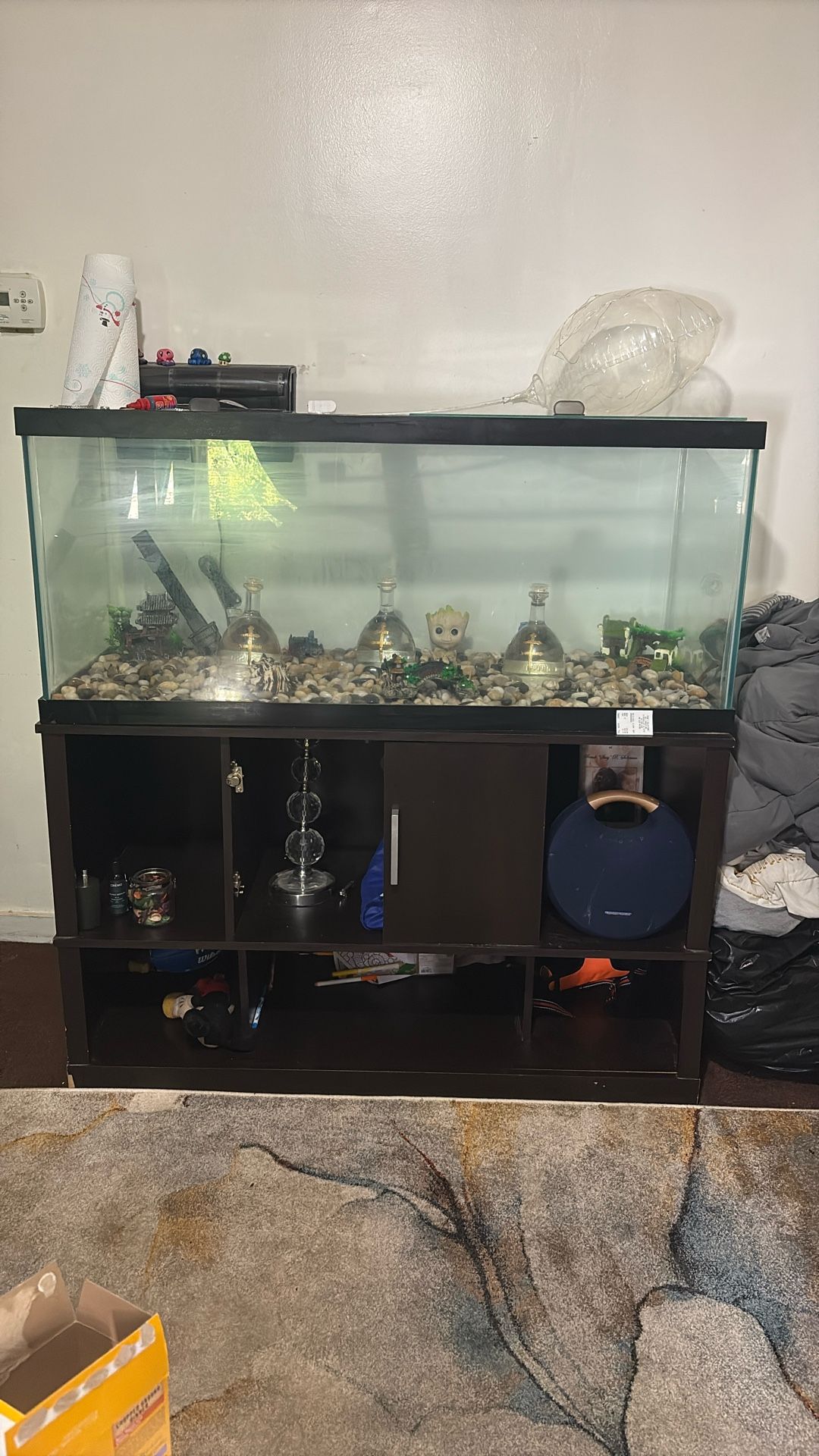 Fish Tank
