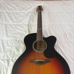 Takamine  For Sale  $500