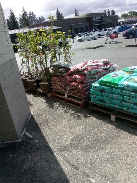 Potting Soil, Trees Fruit And Veggies, Starts By Tractor Supply N Home Depot Flowers