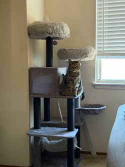 7-level Cat Tree