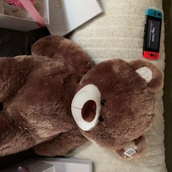 Teddy Bear