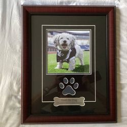 Hank The Dog - Milwaukee Brewers Pup - Framed Photo