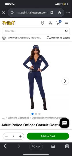 Lady cop Costume