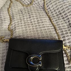 Coach Crossbody Wrislet 