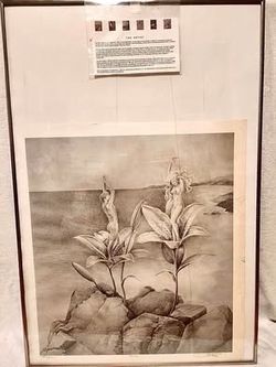 Signed Numbered Edition Print obt Jon Reich Nudes on Flowers