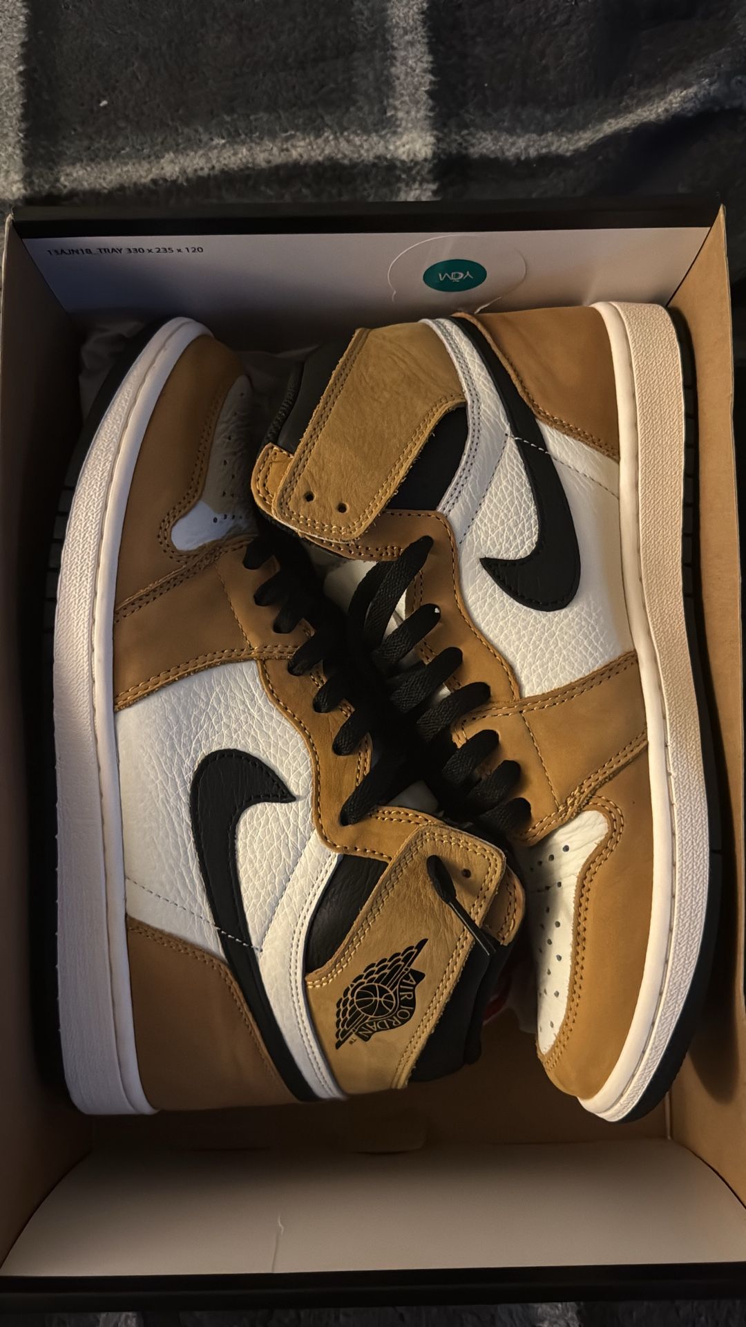 Air Jordan 1