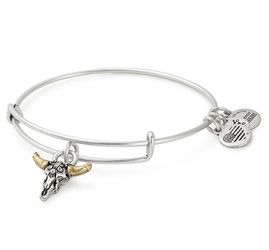 Alex and Ani Spirited Skull Charm Expandable Wire Bracelet