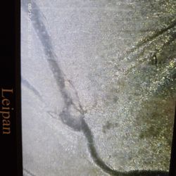 2020 VERMONT QUARTER ERROR. DIE CHIP ON ELBOW