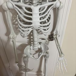 5 foot skeleton