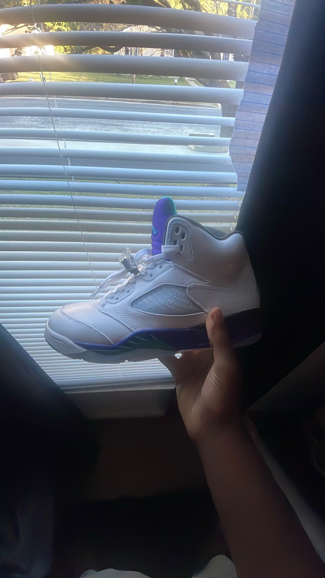 Jordan 5 Grape