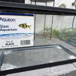 10 Gallon Tank/Aquarium w/ Mesh Lid