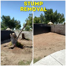 Stump grinding messge, tree messge