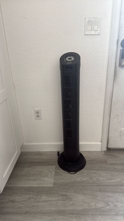 Fan