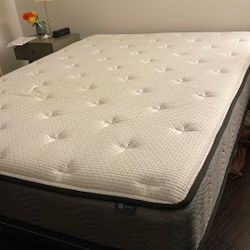 Zinus Double Mattress Clean MUST GO 