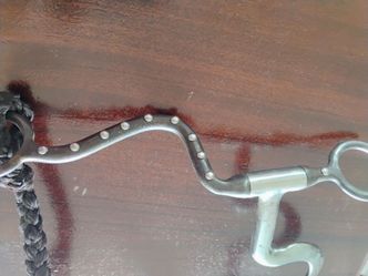 Horse Bit with Braided Rope Chin Strap