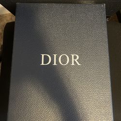 Dior B22s