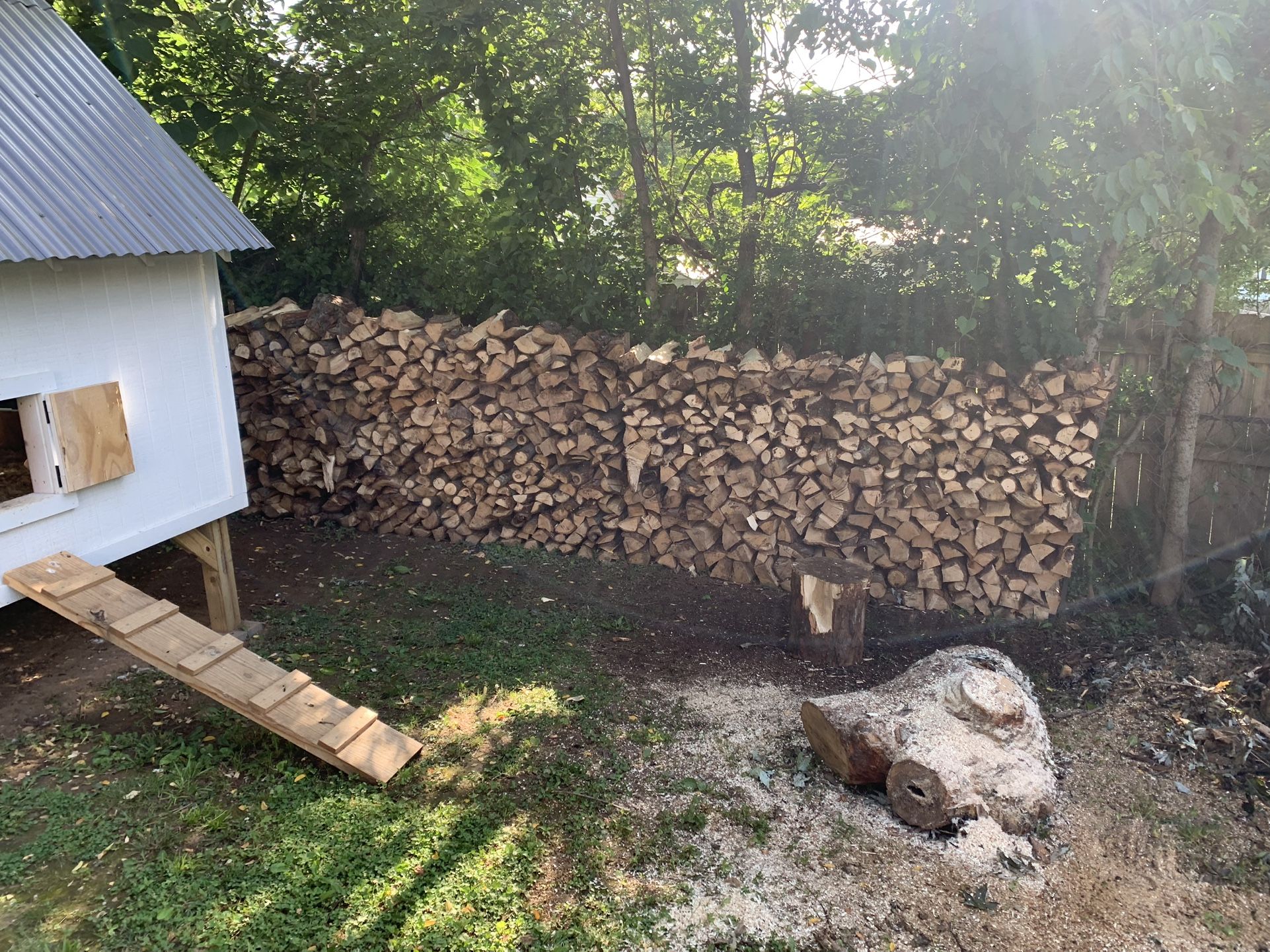 Firewood