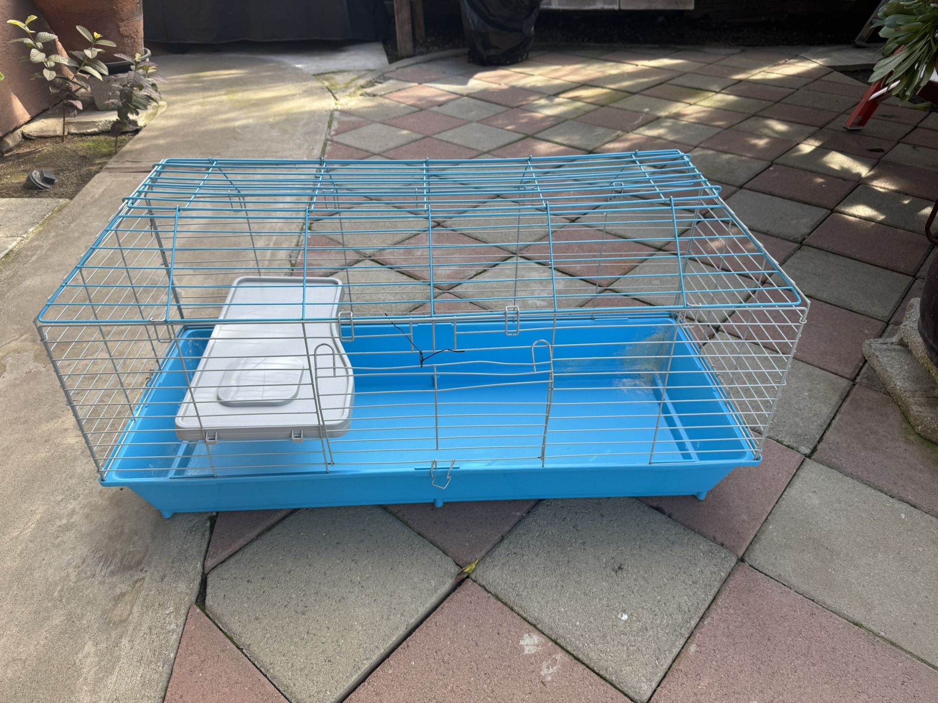 Bird Cage
