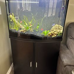 36 Gallon Fish Tank