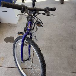 Raleigh mountain bike