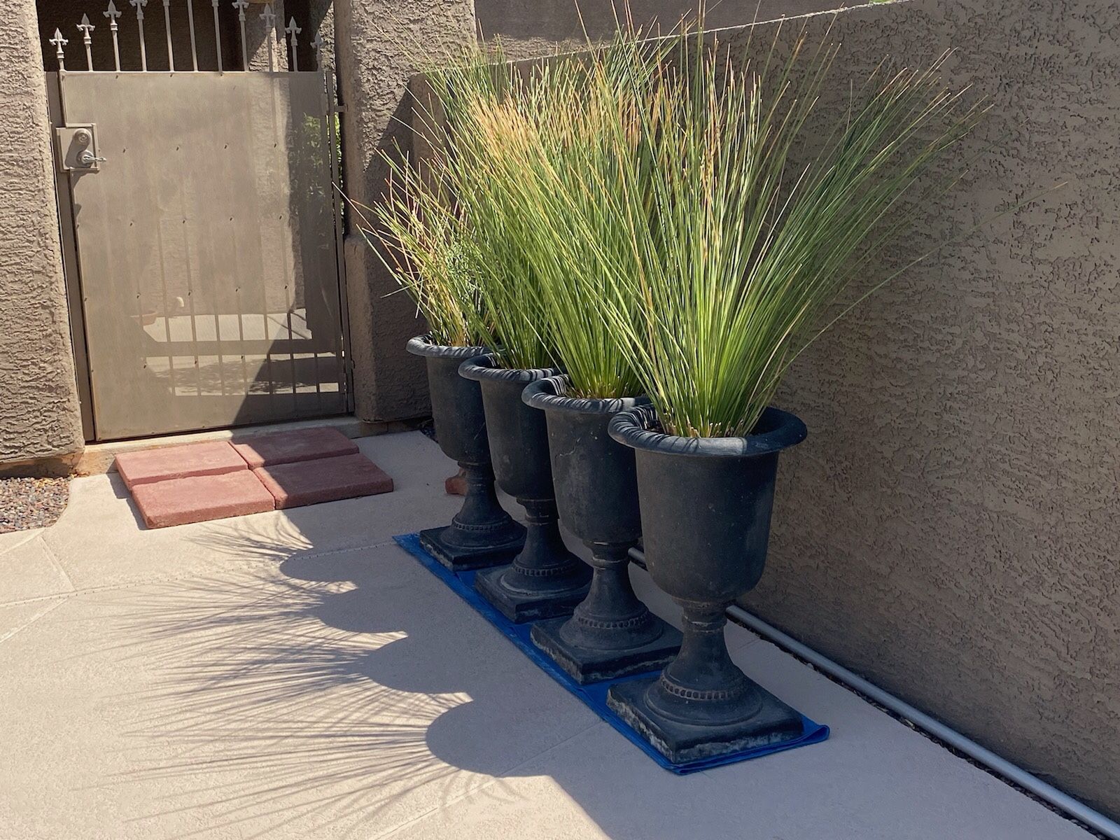 4 BLACK TALL RESIN URN PLANTERS GARDEN POTS ( H~ 29 Inches W- 17 Inches ) MEASUREMENTS ARE JUST THE URN PLANTER. SO INCLUDING PLANT VERY TALL  ALL 4 f