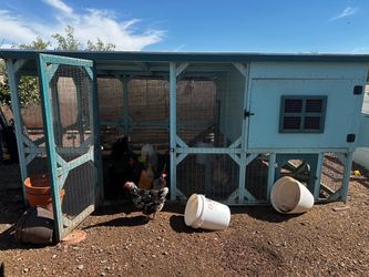 Solid Wood Chicken Coop from Andrea’s Coops