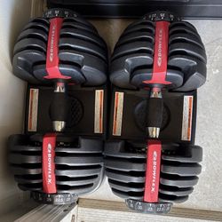 Bow flex Adjustable Weights 