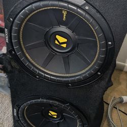 Amps and Speaker