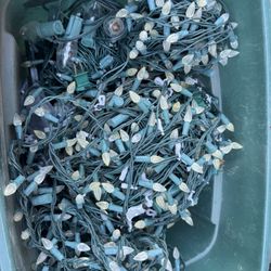 Box Of Christmas Lights