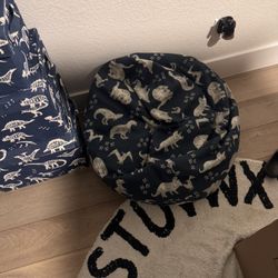 Dinasour Bean Bag