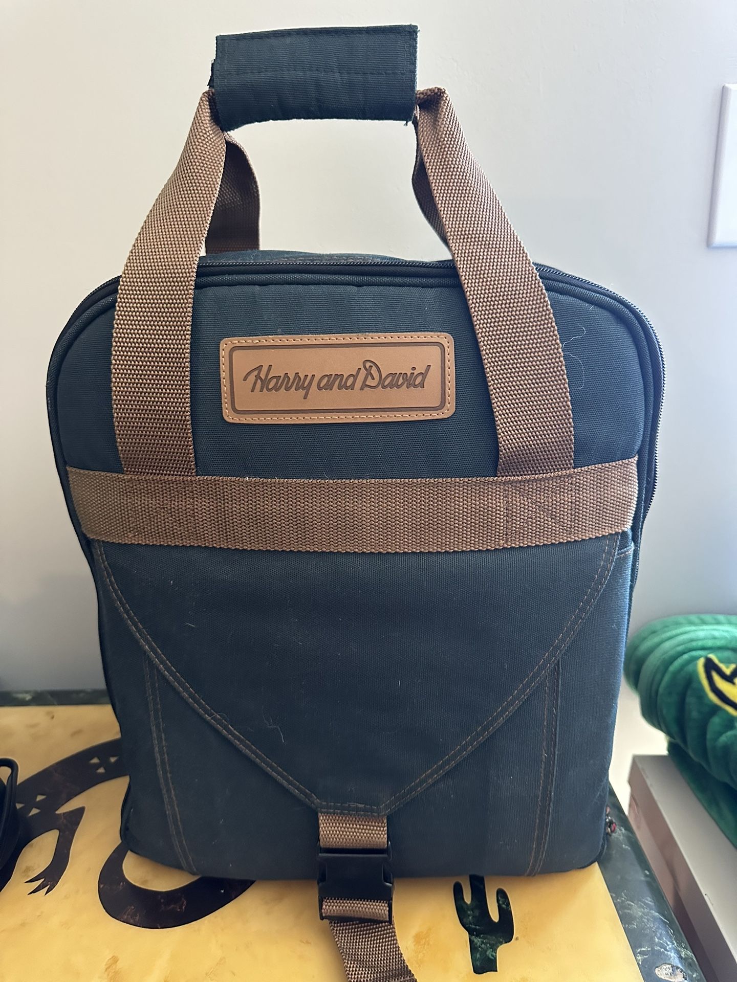 Picnic Backpack (HARRY & David )