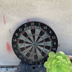 Dart Board 