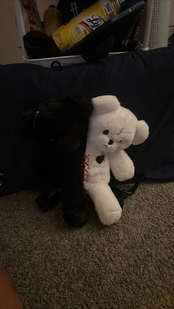 Back pack