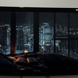 Panasonic VIERA LCD TV